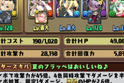 【パズドラ】面接官「では、水着ガチャ中からさいかわを5人選んでください」
