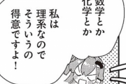 【東方】理系早苗さん