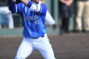 DeNA細川がフェニックスリーグで8戦で5本打ったわけだけど