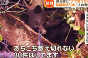 【悲報】クマ駆除に抗議してる奴の正体、女だった