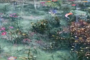 海外「まるでモネの絵のようだ…ここは現実にある場所なのか」岐阜県「名もなき池」が絵画のようだ…（海外の反応）