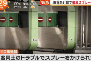 【唖然】JR職員「無賃乗車してますよね？」男「…（催涙スプレー噴射）」