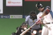 日ハム野村のインコース捌きがヤバ過ぎるｗｗｗｗｗ