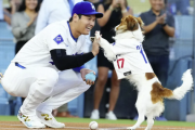 大谷翔平の2024年で一番幸せを感じた瞬間ｗｗｗｗ