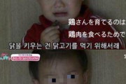 【悲報】韓国のコドッモ、真実を知ってしまい阿鼻叫喚ｗｗｗｗｗｗｗｗ