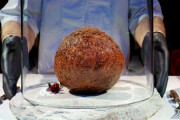 絶滅した”マンモス”の肉をDNA情報から培養・ミートボールが作成される！肝心のお味は・・・