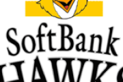 【宝の山】ソフトバンク戦力外20人