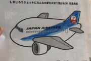 【画像】JALで飛行機の塗り絵をもらった子供、とんでもない色に塗ってしまうｗｗｗｗｗｗｗ