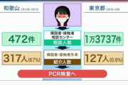 【悲報】和歌山県、PCR検査自粛に従わず暴走！検査殺到で感染拡大のイタリアや韓国になるつもりか？