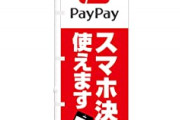 【謎】PayPay「めんどくさい、名前もダサい、ポイントもショボくなった」←こいつが天下取れた理由