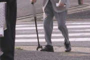 【犬ひき逃げ】被害者家族が運転手とついに対談　運転手91歳「最新の車で自動ブレーキついてる」散歩していた娘(6歳)は言い訳に涙、あれから笑顔戻らず