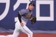 阪神・大山がライト守備　公式、オープン戦では記録なし　残り３戦でオプション