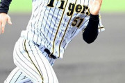 阪神・中野、来季は５０盗塁　２年連続盗塁王へ企図数は倍に