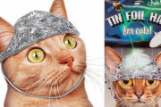 【超朗報】ネコ用アルミホイル、爆誕