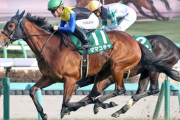 G1牝馬ママコチャ、来年7歳も現役続行
