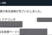 【朗報】競争馬「ドヤコンガ」誕生