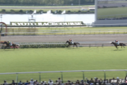 【日曜京都3R】これが噂の三頭立てか