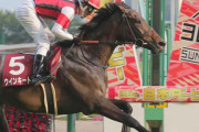 第135回 目黒記念（GII）牝馬激走！2番手追走ウインキートス（丹内）直線抜け出して完勝！重賞初制覇