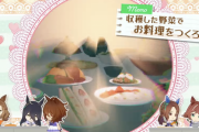 【ウマ娘】大豊育成する時の料理ptはどうしてる？