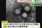 【愛知】マダニに噛まれた事が原因か…感染症『SFTS』で男女2人が死亡 うち1人は感染疑いの時期に草むら等での行動歴なし