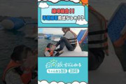 撮れ高＞落水回避 #shorts #日向坂ちゃんねる #日向坂46