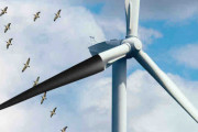 風力発電機のタービンに「色を塗る」だけで鳥の事故死率が70％下がる