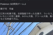 【ポケモンGO】明らかに悪意のある「ポケスト否認マン」写真が下手！電線が写ってる！補足URLあるのが気に入らない！