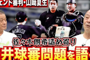【白井球審問題】元審判「白井はルールに則って警告しに行っただけ」