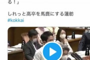 【衝撃発言】蓮舫氏「このままだと高卒みたいな可哀想な人達が安倍のせいで増える」←これｗｗｗｗ