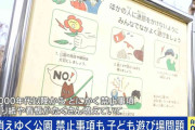 ボール禁止、自転車禁止、ついには年齢制限も…管理の名の下に自由を奪われた日本の公園 専門家が指摘する異様な現状とは