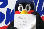 つば九郎さん、ヤクルト1000飲み放題を契約条件に入れていた
