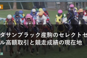 キタサンブラック産駒のセレクトセール高額取引と競走成績の現在地