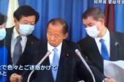 【悲報】二階幹事長、船場吉兆のつぶやき女将の息子みたいになる