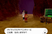 【ポケモン剣盾】賛否両論あるソロプレイ要素　ダイアドも自分のポケモンを持っていける要素があればな