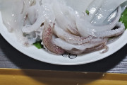 【画像】釣ったケンサキイカの刺身食べるぞ