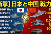 【速報】日本と中国の戦力比がこれなんやが