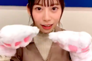 【日向坂46】『日向撮』猫の日企画！メンバー達の激かわ猫動画をまとめてどうぞ！！！！！