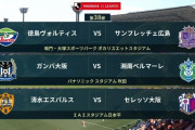 ◆Ｊ１◆最終節 残留争い3試合 清水2-1C大阪、G大阪0-0湘南、徳島2-4広島…徳島反撃も及ばず降格決定