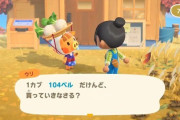 【あつまれどうぶつの森】カブは面倒じゃないよね？　高騰してるフレンドの村に寄生すればいい