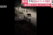 「ナイフ持った方がいいかな？」死亡した新聞配達員の男性…襲撃4日前から何度もクマ目撃、執拗に狙われか！