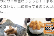 【画像】はま寿司のウニがこちらｗｗｗｗ