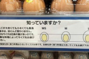 ツイ民「卵はSもLも卵黄の大きさは一緒！」「昔から知ってた」⇒実は全然違ったｗｗｗｗｗ　安心してLサイズ買っていいぞ！！