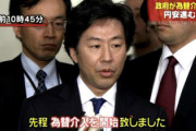 【疑問】すまん、なんで民主党ってボコボコに叩かれてたんだっけ？全然思い出せない