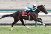 【競馬予想】[1]第39回中山牝馬ステークス(G3) /2021