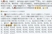 【悲報】中国人さん、「堀越耕平」と「平野耕太」の違いが分からない……