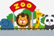 動物園「入場料500円ですｗｗｗｗｗｗｗｗｗｗｗ」←こいつ