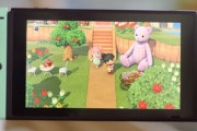どうぶつの森とかいうゲームの面白さ説明できる人､ほとんどいない