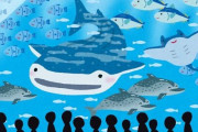 【画像あり】水族館とかいう誰もが幸せになるユートピアwww