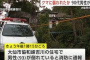 【秋田】自宅にいた男性　クマに襲われ死亡