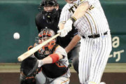 阪神サンズ８戦６発　チームも家庭も貯金ウハウハ？